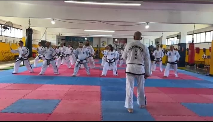 Asociación Taekwon-Do Integral Sur